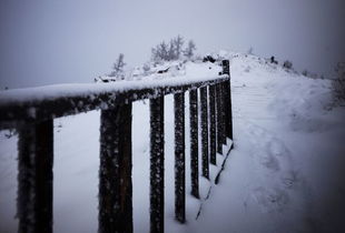 描寫冬天風景的詩句古詩,描寫秋天風景的詩句古詩,描寫春天風景的詩句古詩