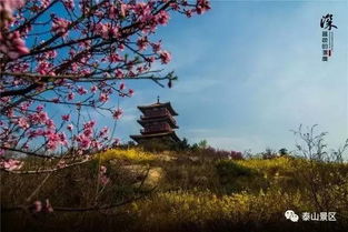 描寫泰山美的詩(shī)句古詩(shī)