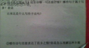 關(guān)于直接抒情的古詩(shī)句