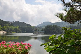 關(guān)于天水一色的詩句