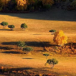 描寫秋日草原的詩(shī)句古詩(shī),秋日風(fēng)景的詩(shī)句古詩(shī),秋日離別的詩(shī)句古詩(shī)