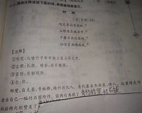 贊美父親的古詩句,贊美青山綠水的古詩句,贊美烈士的古詩句