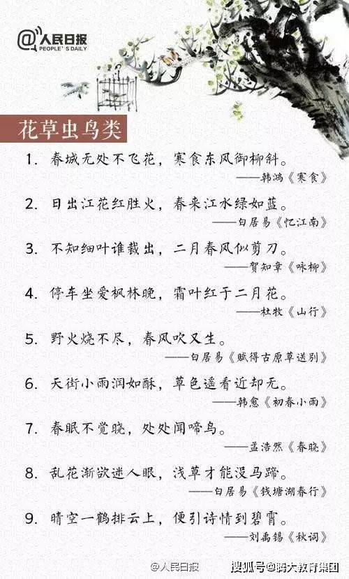 作文,詩句,贊美,開頭