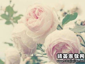 關(guān)于珍惜朋友的英文詩句