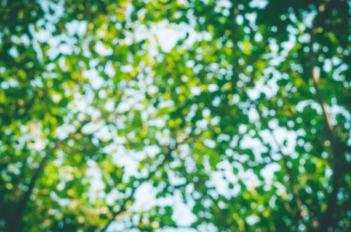 關(guān)于夏蟬的詩(shī)句古詩(shī)詞,描寫(xiě)蟬的詩(shī)句古詩(shī)詞,關(guān)于蟬的詩(shī)句古詩(shī)詞七言