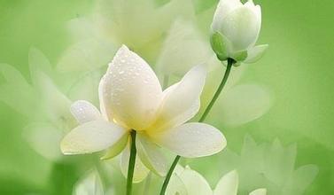 關于山的詩句優(yōu)美句子