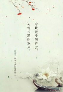 詩(shī)句,決心,忘記