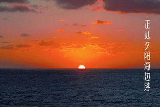 關于思君海邊詩句