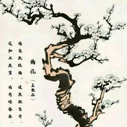 夜雪的詩(shī)句古詩(shī)