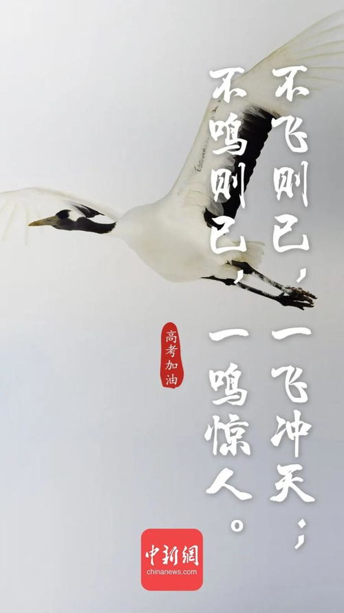 舞獅,詩(shī)句