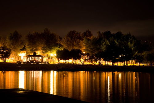 與雪有關的古詩句要有作者