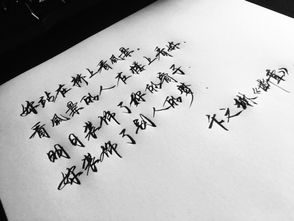關(guān)于個人品質(zhì)的詩句