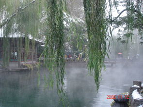 關(guān)于潔身自愛的詩句