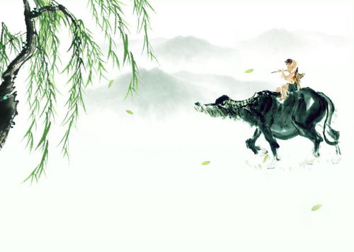 關(guān)于飛水不見水的詩句