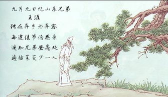 九月九日憶山東兄弟的詩句,九月九日憶山東兄弟關(guān)于重陽節(jié)的詩句,九月九日憶山東兄弟的詩句怎么寫