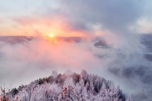 詩句,冬季,還有哪些,請問