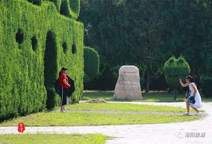 關于家鄉(xiāng)生活的詩句