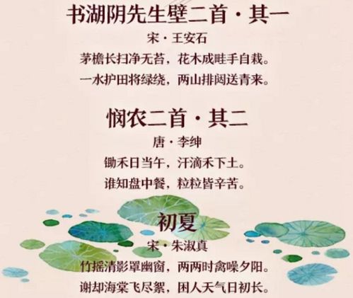 寫出關于夏天的詩句有哪些