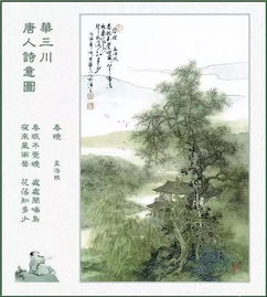 春曉的古詩(shī)句,春曉古詩(shī)全解,春曉古詩(shī)配圖