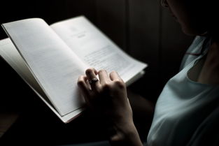 詩句,比喻,讀書,大全