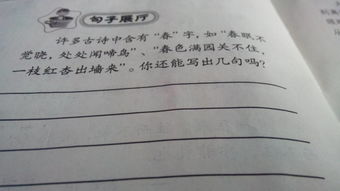 古詩句中崳字的