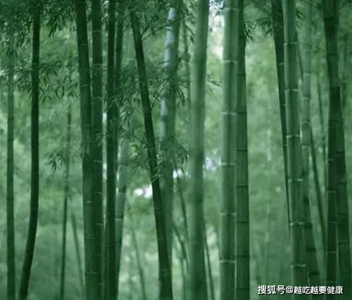 舊人,詩句,新人