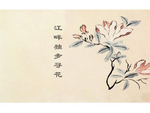 關(guān)于花的詩句五個(gè)
