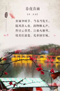 關(guān)于成都最好的詩句