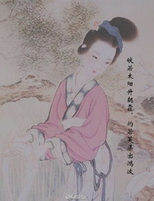 形容女子美貌的古詩句,形容女子有才又美貌的古詩句,形容男子美貌的古詩