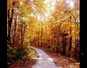 關(guān)于秋天的兒童詩句大全