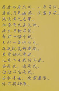 關(guān)于詩(shī)句的句子唯美的