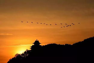 人生起飛的詩句,形容起飛的詩句,贊美起飛的詩句