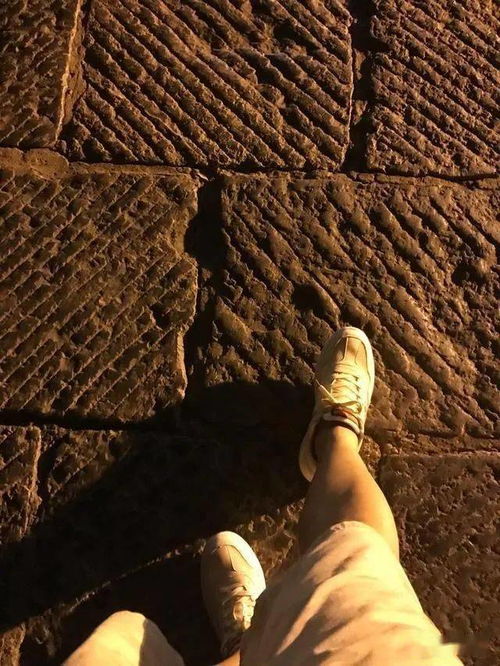 有沒(méi)有關(guān)于夜色的詩(shī)句