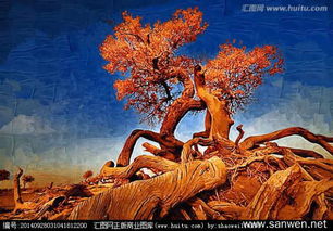 關(guān)于胡楊的名言詩(shī)句