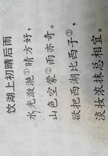 詠春,朝代,詩句,歷史