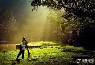 詩(shī)句,人文,自然