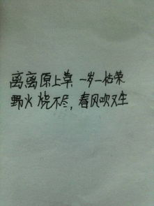 表達(dá)堅(jiān)強(qiáng)的古詩(shī)句