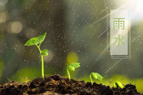 關(guān)于二十四節(jié)氣雨水的詩句