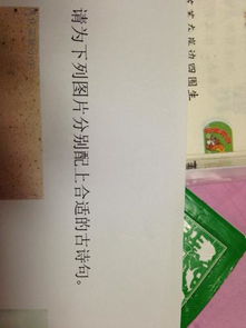 比較清新的古詩(shī)句