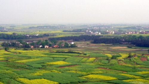 田園風(fēng)光詩句古詩詞,關(guān)于山水田園風(fēng)光的古詩詞,關(guān)于孟浩然田園風(fēng)光的古詩詞