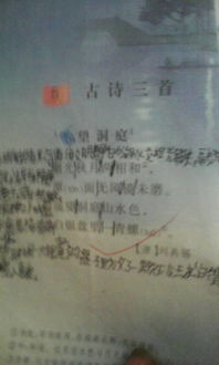 優(yōu)字的古詩句