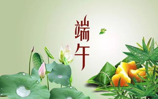 有關(guān)端午節(jié)的古詩(shī)句六句,有關(guān)端午節(jié)的古詩(shī)句20句,關(guān)于端午節(jié)的古詩(shī)句