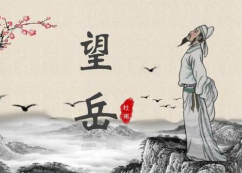 小學生必背古詩中杜甫的詩句