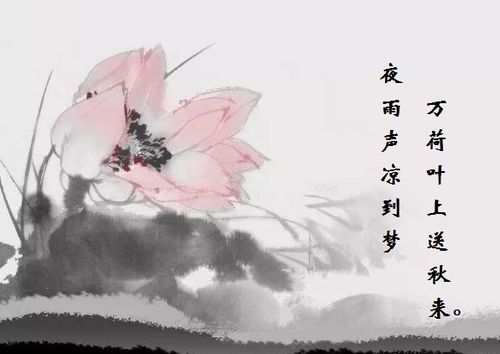 有關(guān)于夏日的詩句