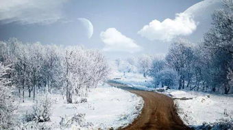 雪景,古詩(shī),詩(shī)句,描寫(xiě)