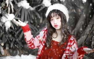 關(guān)于雪中美人的詩句