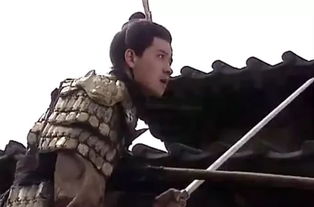 關(guān)于司馬昭的的詩句