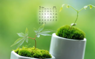 描寫綠色植物的詩(shī)句,贊美綠色植物的詩(shī)句,綠色植物生機(jī)勃勃的詩(shī)句