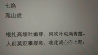 描寫爬山虎的古詩句