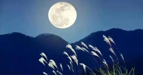 關(guān)于月的詩(shī)句不含月字